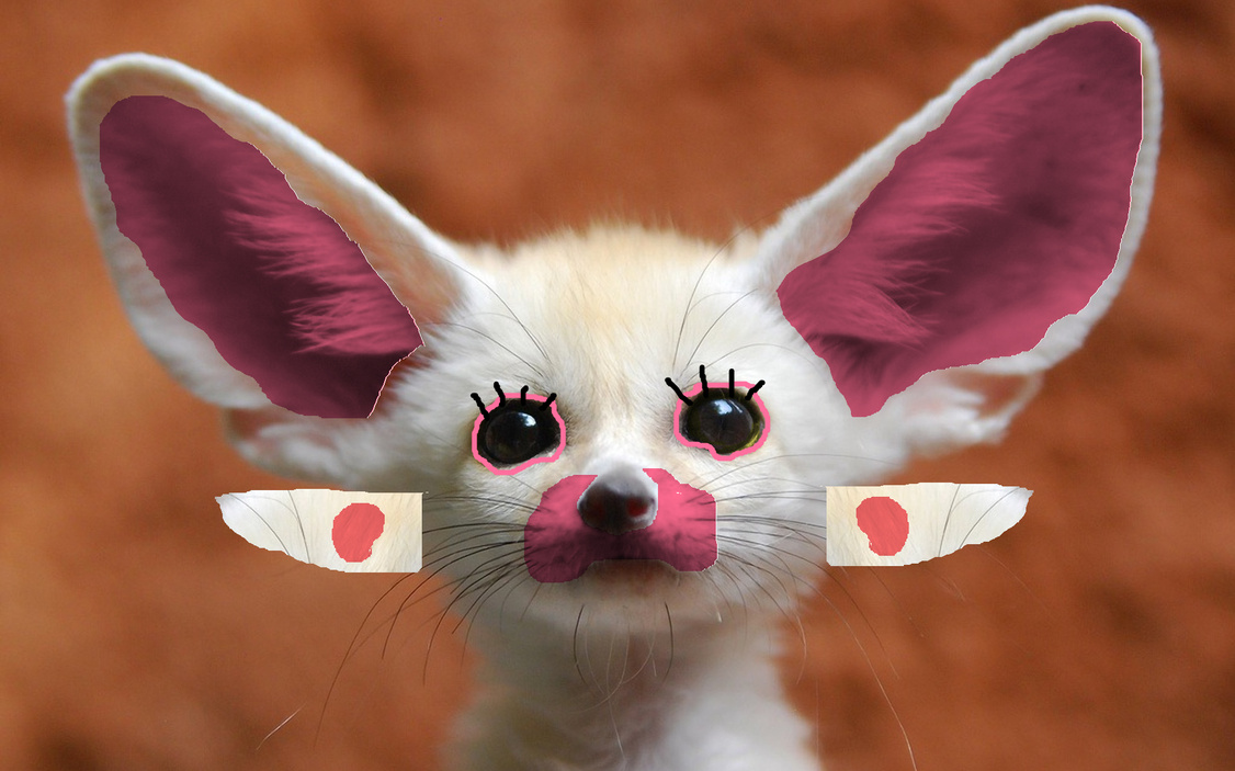 fennec fox mangle edit