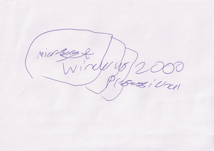 windows 2000 professional