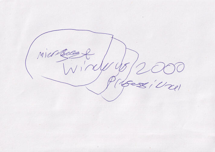 windows 2000 professional