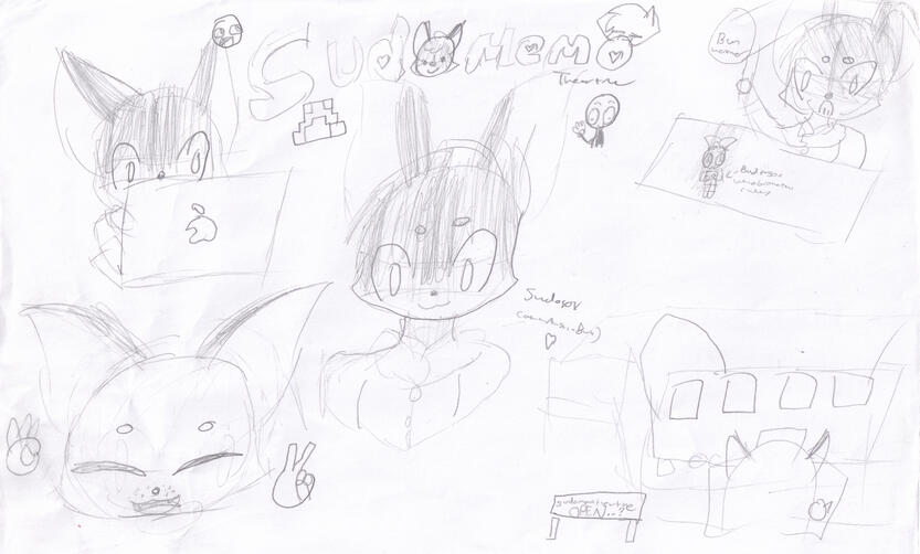 sudofox drawpage