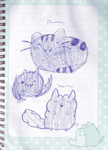 even more pusheen stuff!