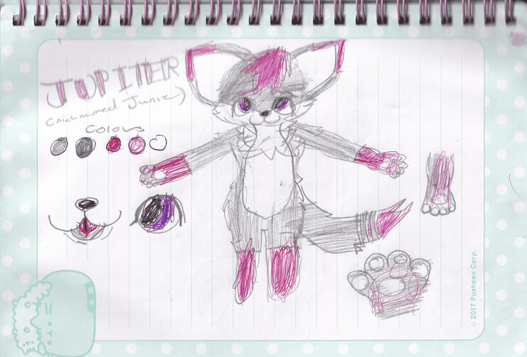 junie ref sheet