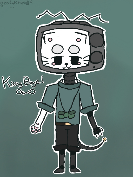 kitty boye....
