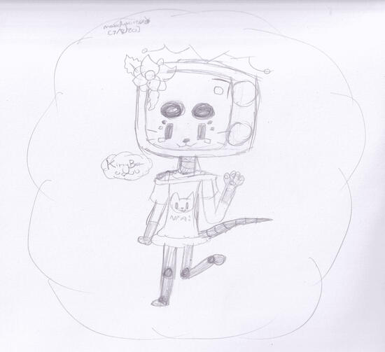 kittybot redraw