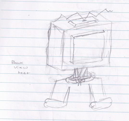 back view test