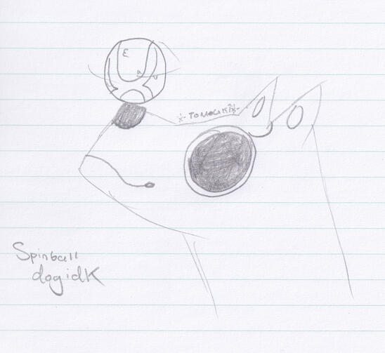 spinball dog!